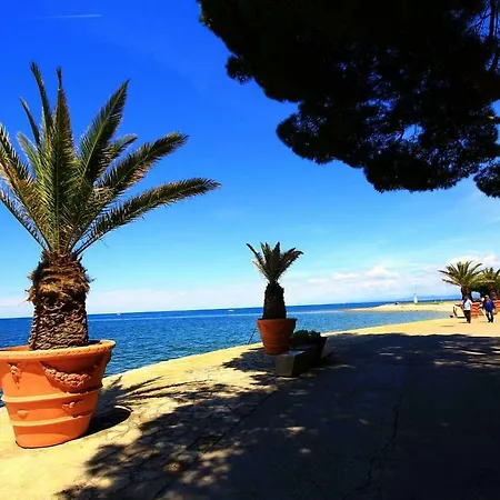 Old Isola In The Center * Izola